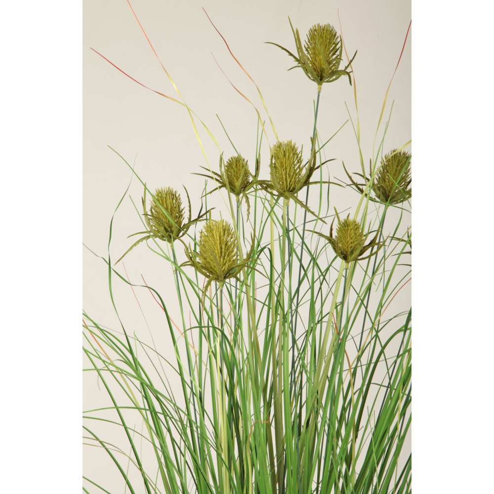 Distel-Grasbusch im Topf grün,H 90 cm