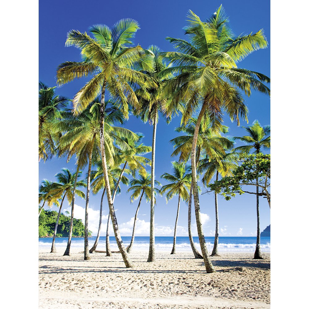 Banner XL Palmen grün/natur, B 150 x H 200 cm