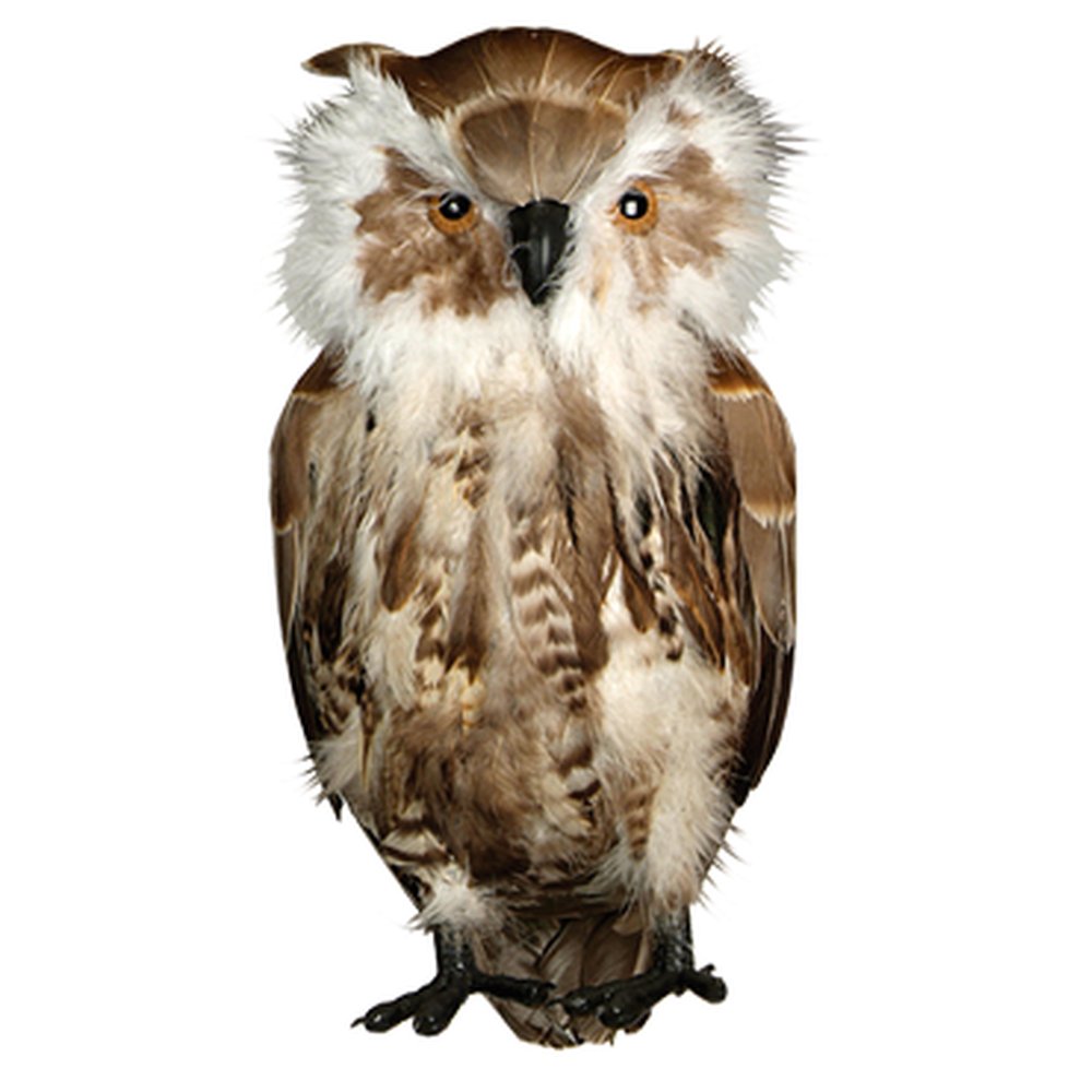 Eule Tierattrappe stehend, 32 cm