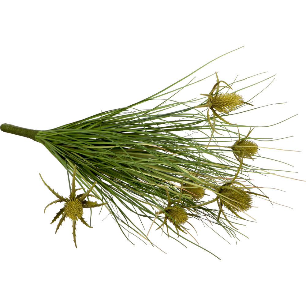Distel-Grasbusch grün,H 90 cm