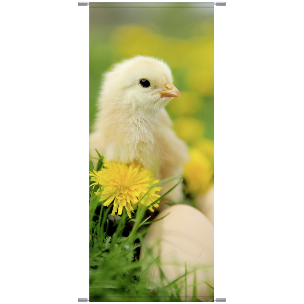 Banner Küken natur 180 cm