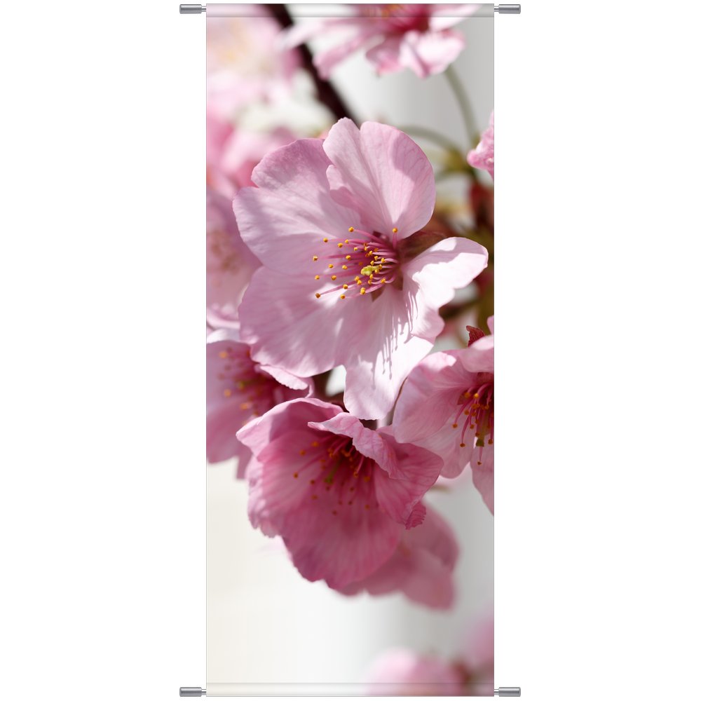 Banner Blüten rosa, 75 x 180 cm