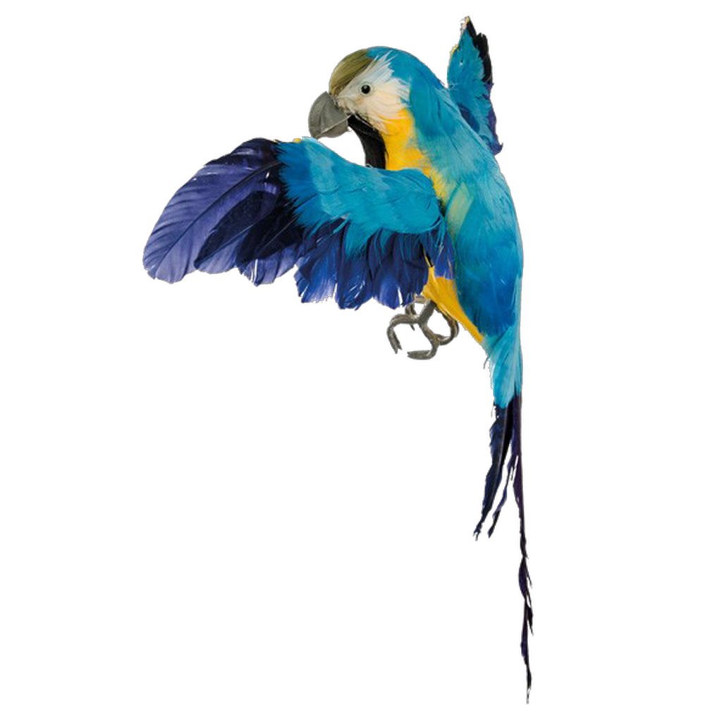 Papagei fliegend blau-gelb 33 x 25 cm