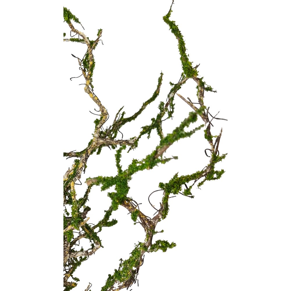 Zweige-Busch Twig mit Moos natur/grün,Ø30 x 50 cm