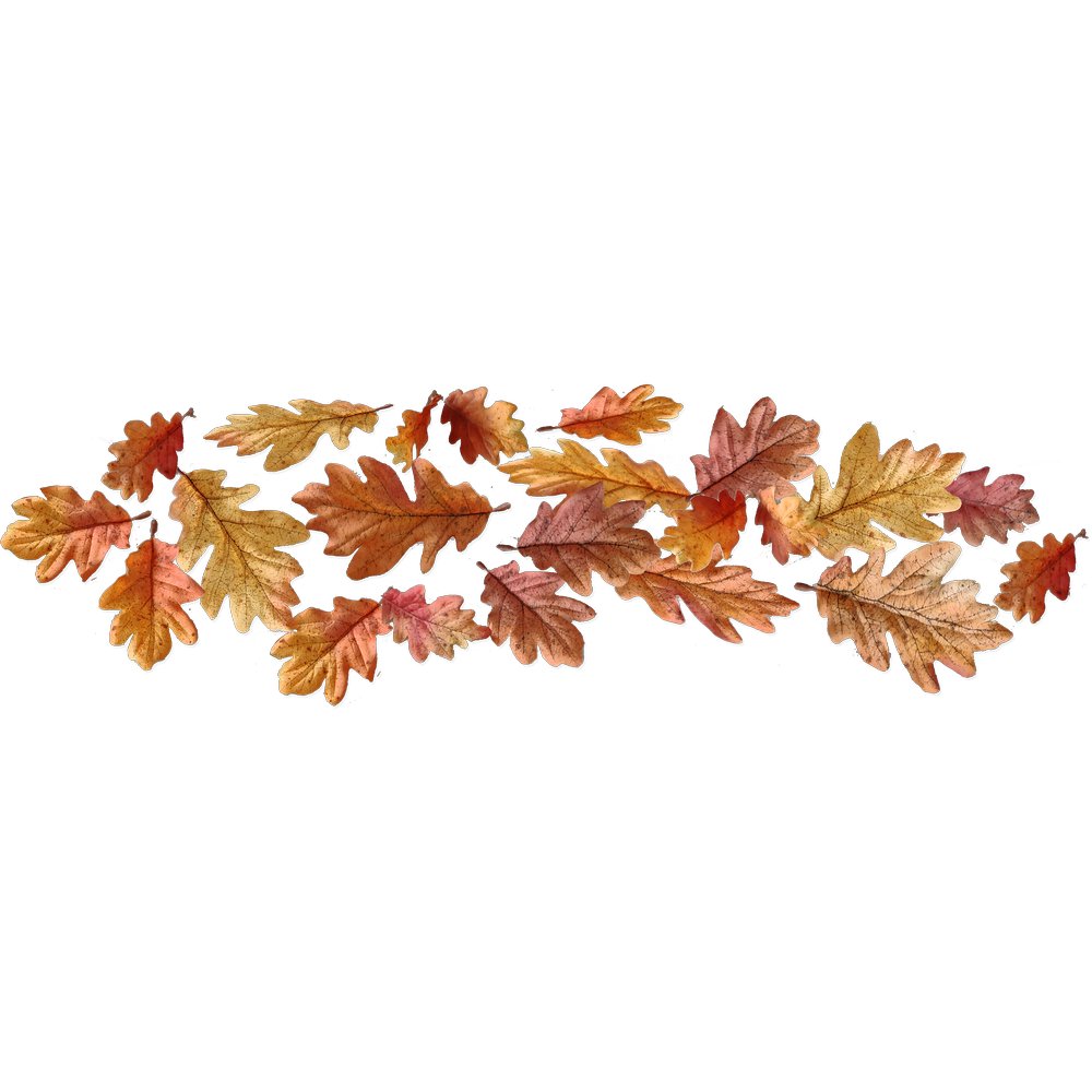 Eichenlaub Streublätter x20 herbstbunt, 10/12/14 cm