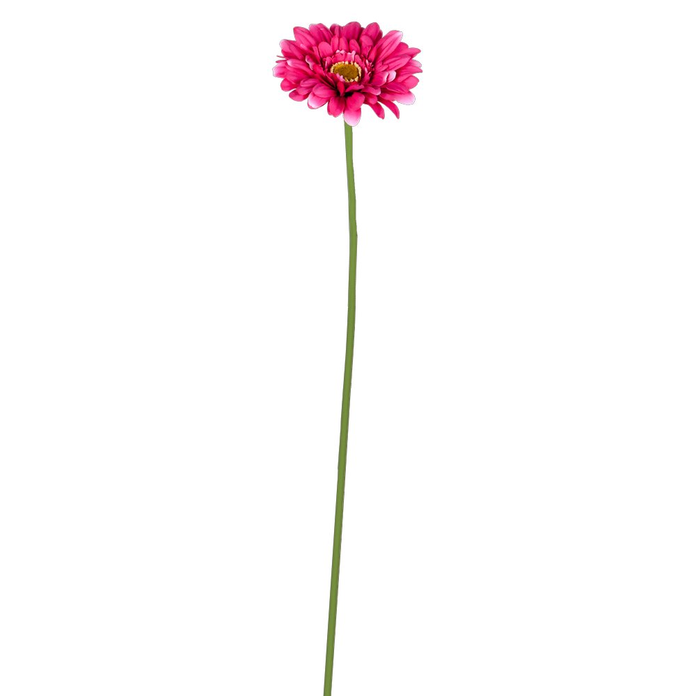 Gerbera natural pink, Ø 11 x 62 cm