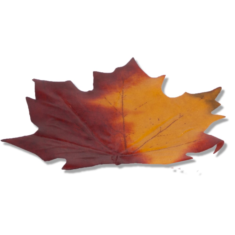 Ahornblätter ohne Stiel herbstbunt, 48 Stück, 5-9 cm