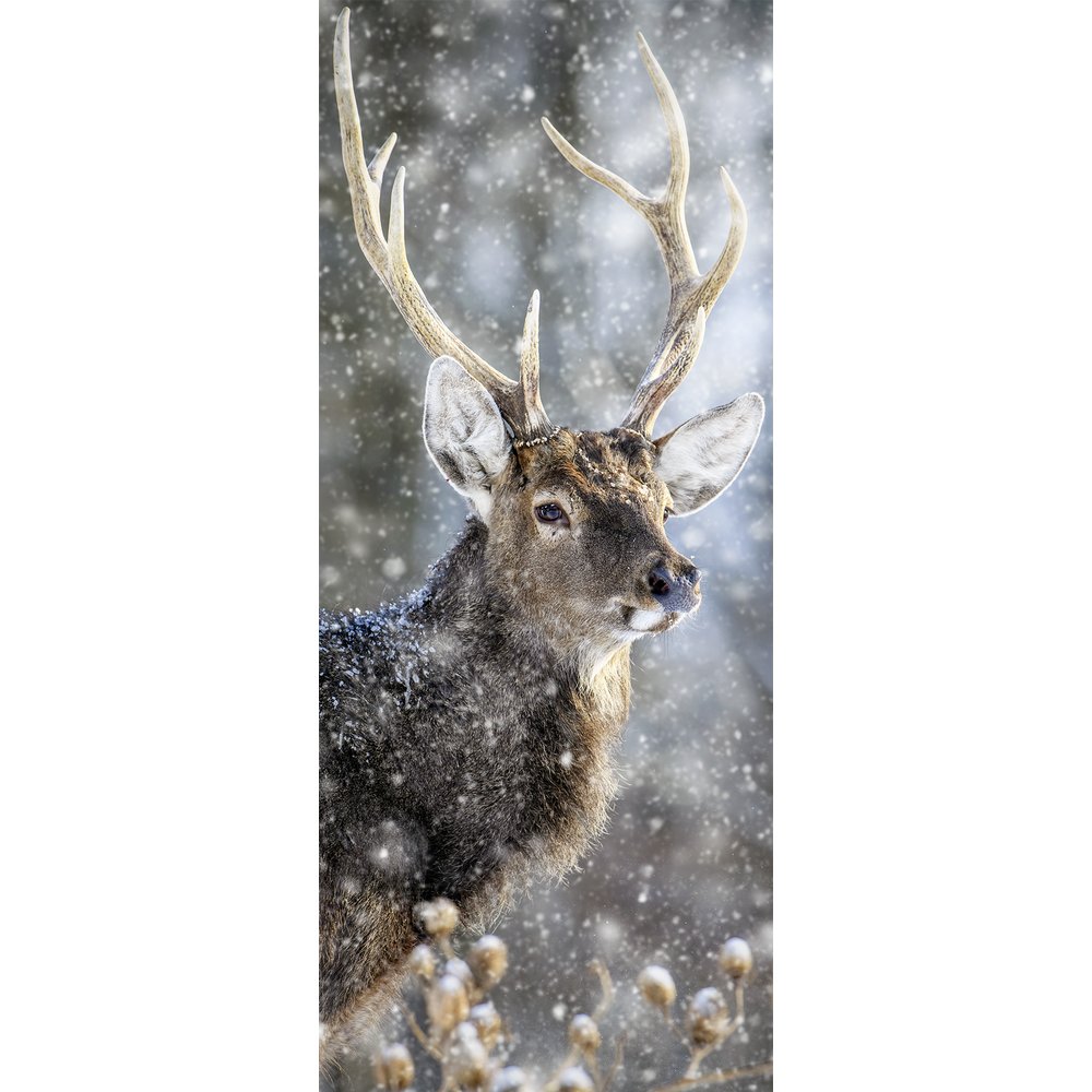 Banner Hirsch, 75 x 180 cm