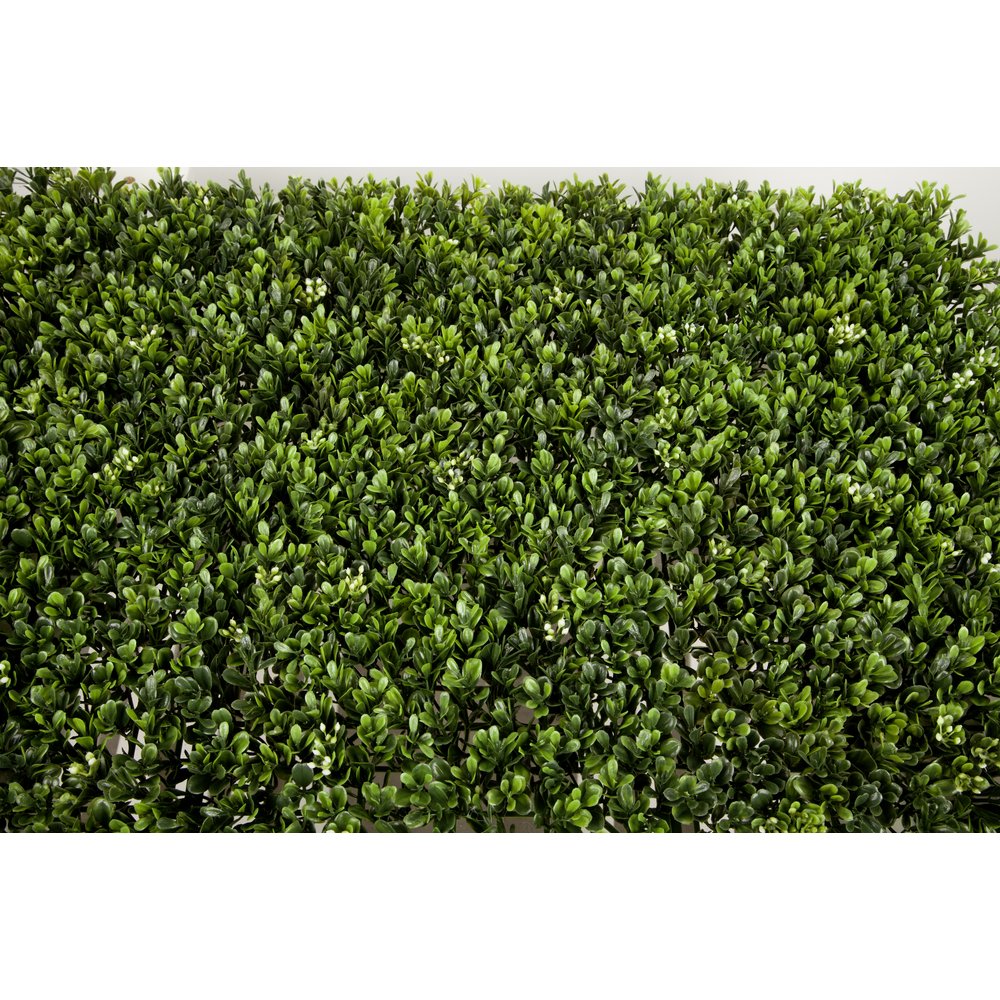 Buchsplatte XL grün, 82 x 58 cm