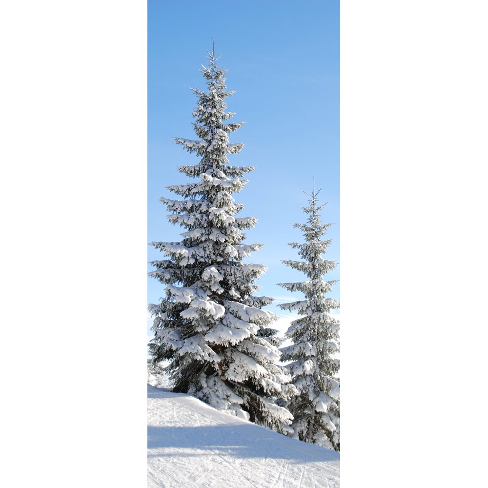 Banner Schneetanne, 75 x 180 cm