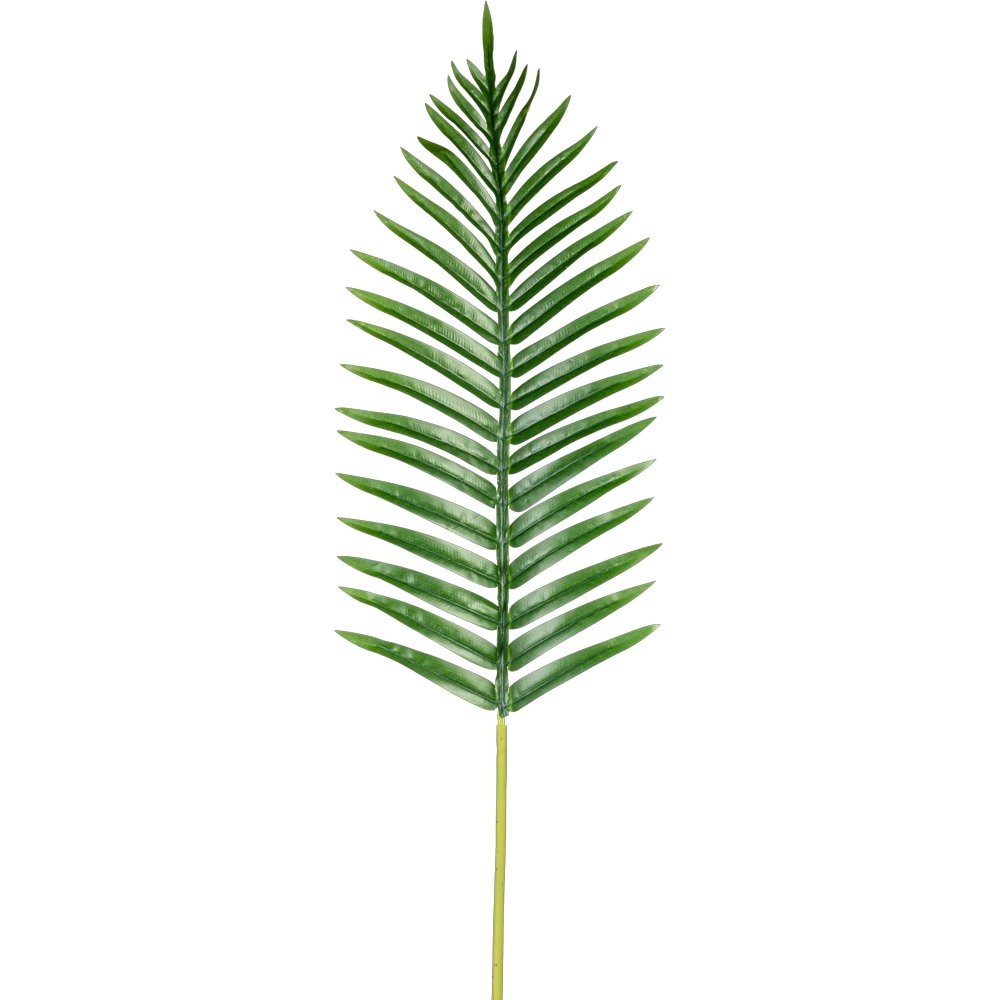Arecapalmwedel 40 Blätter  grün, 107 cm
