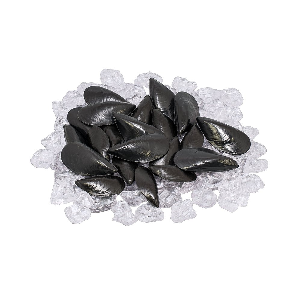 Muscheln 24 Stück Kunststoff schwarz, 7-9 cm