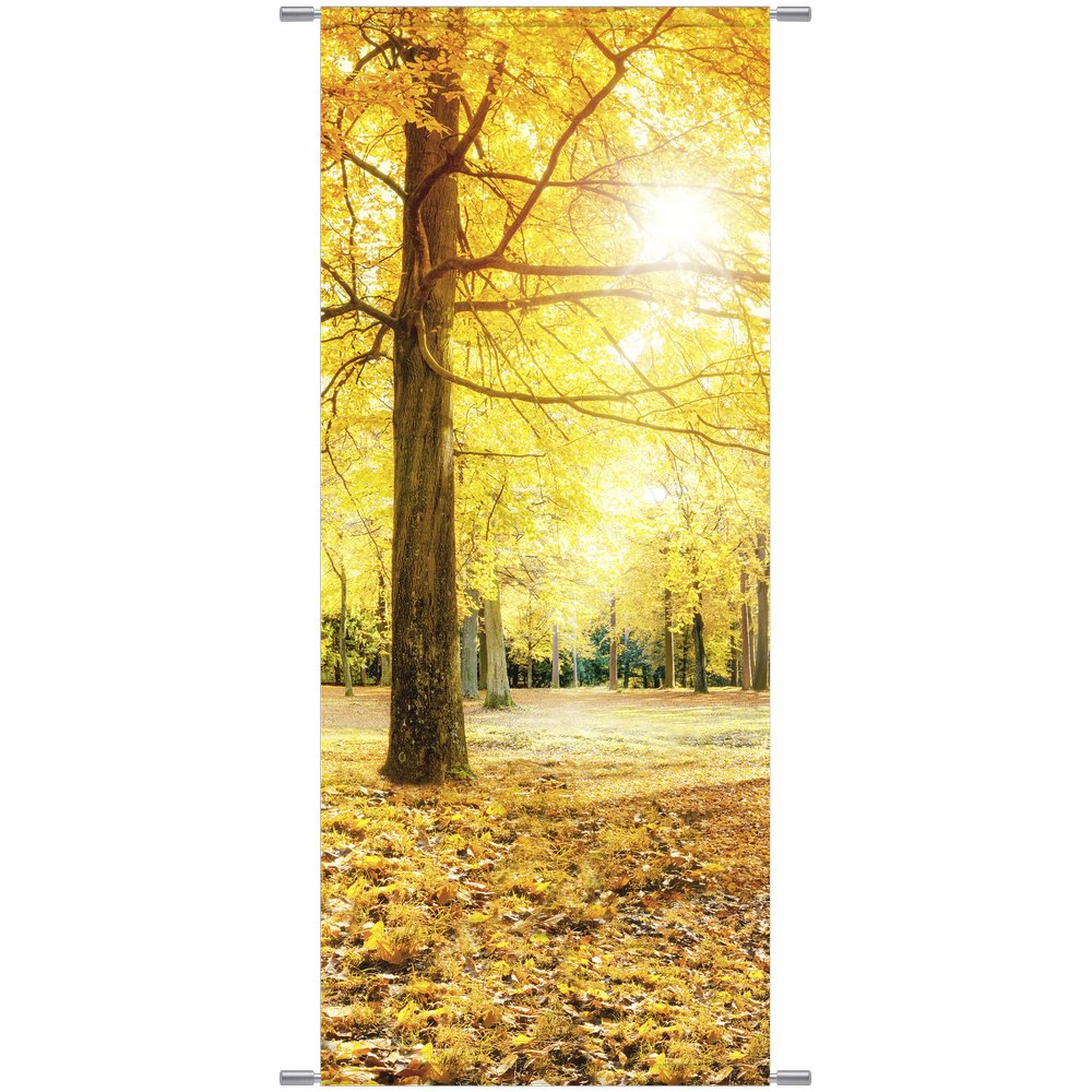 Banner Herbstwald Baum, 75 x 180 cm