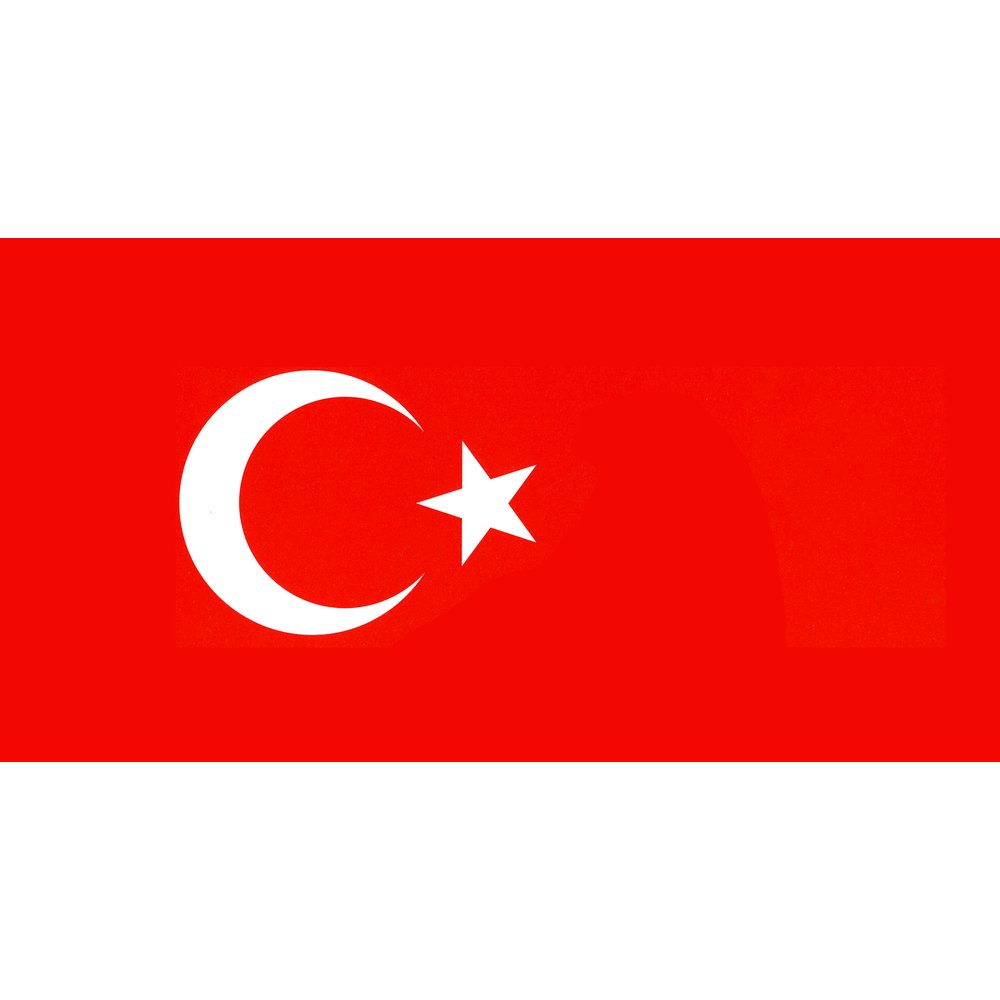 Flaggenkette Euro 24-Nationen  bunt, L 7,50 m