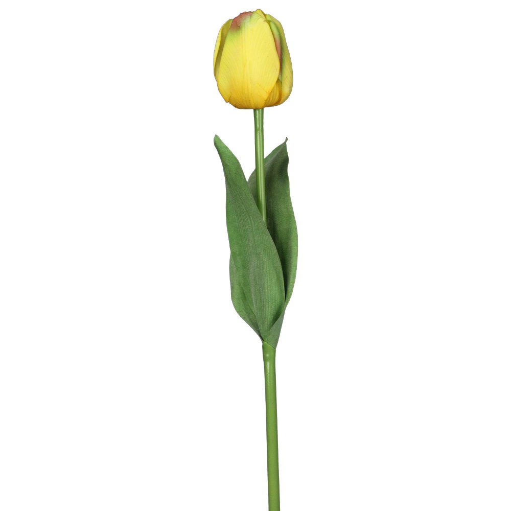 Tulpe Royal gelb, 49 cm