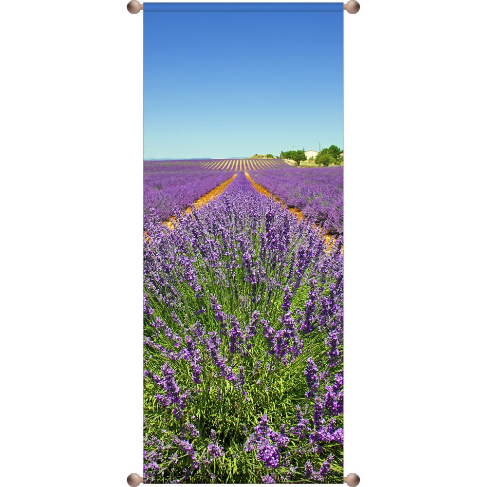 Banner Lavendelfeld, 75 x 180 cm