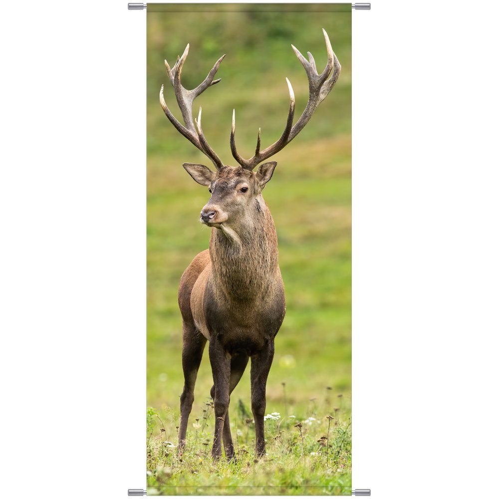 Banner Hirsch natur, 75 x 180 cm