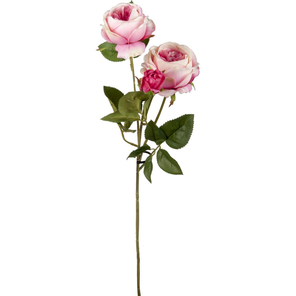 Englische Rosen als Zweig x3 rosa/pink, Ø 20 x L 64 cm