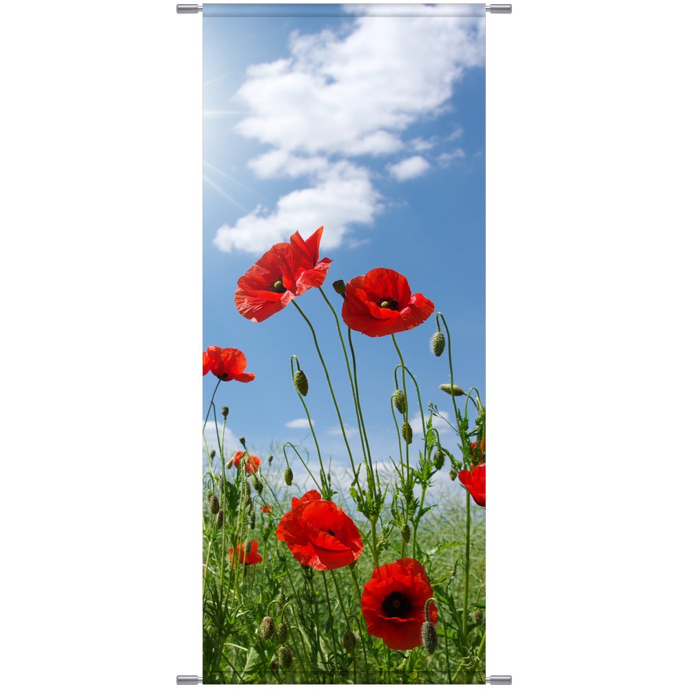 Banner Mohnblumenfeld, 75 x 180 cm