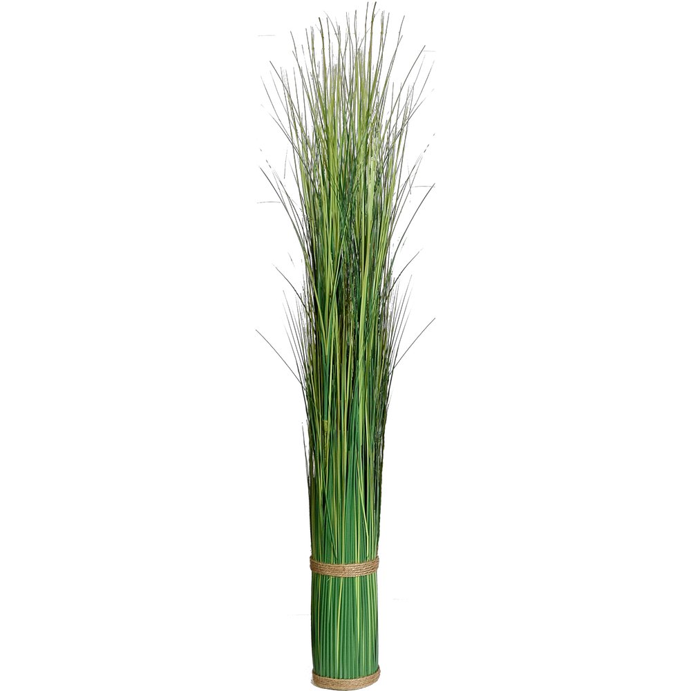 Grasbüschel Festuca, 120 cm, Ø 10,5 cm