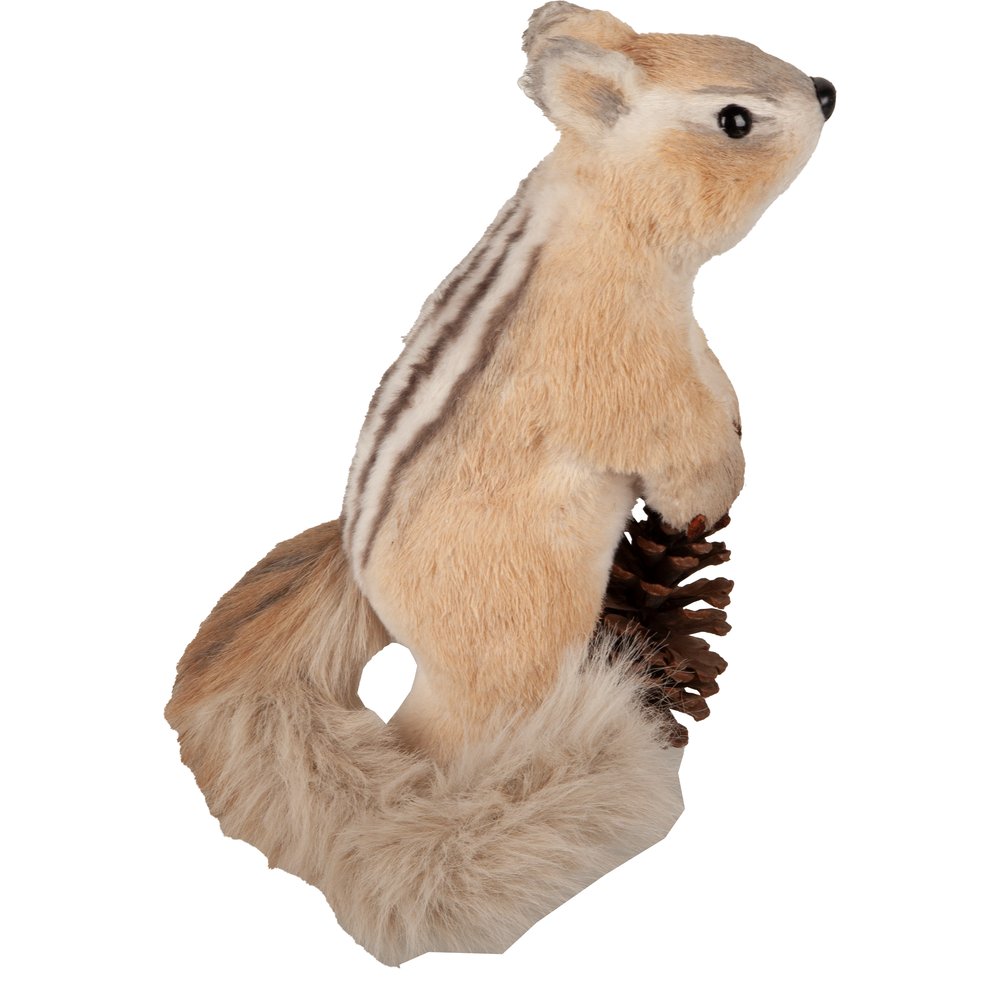 Eichhörnchen Skip stehend natur,20x20xH30 cm