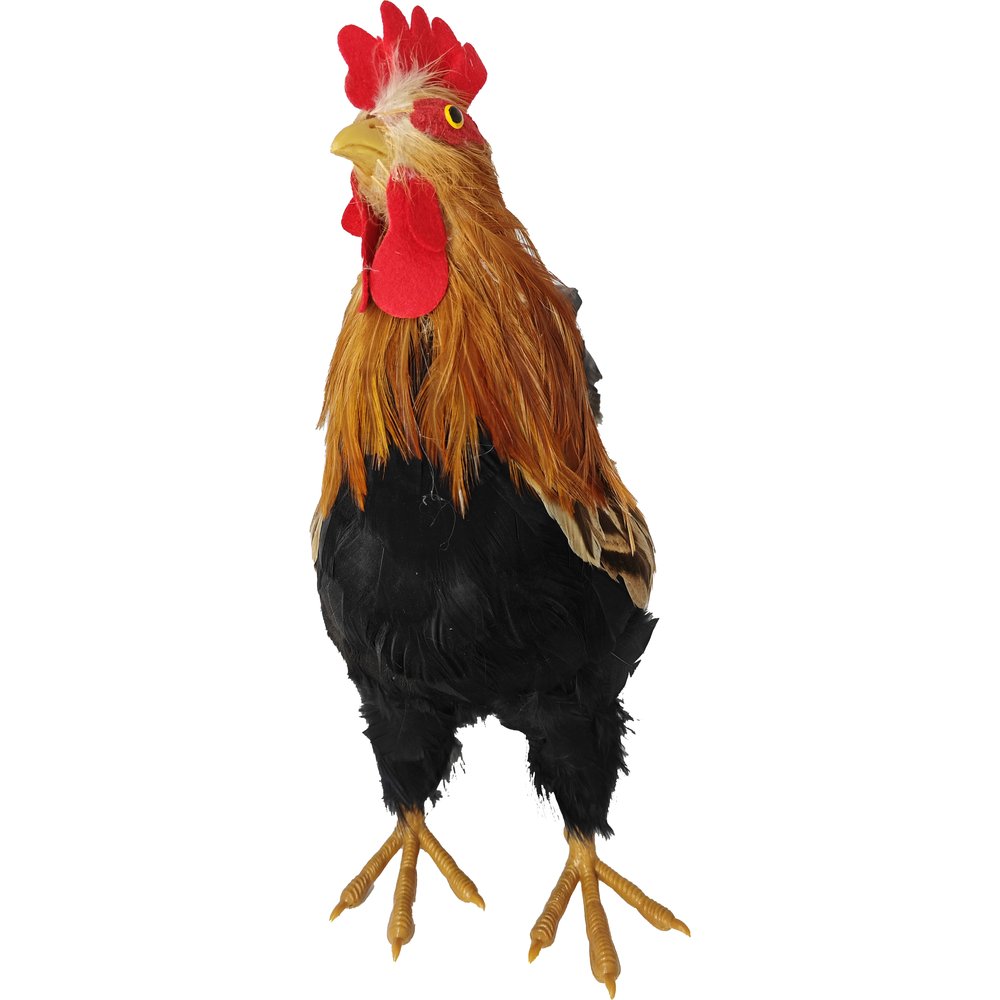 Hahn Natural natur/bunt,H 36 cm