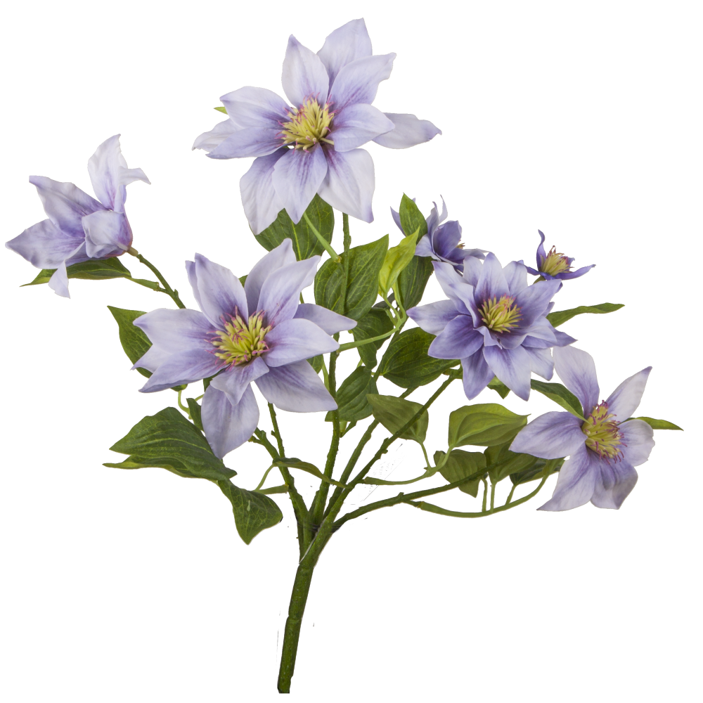 Clematis Busch grün/lavendel, Ø 30 x H 40 cm