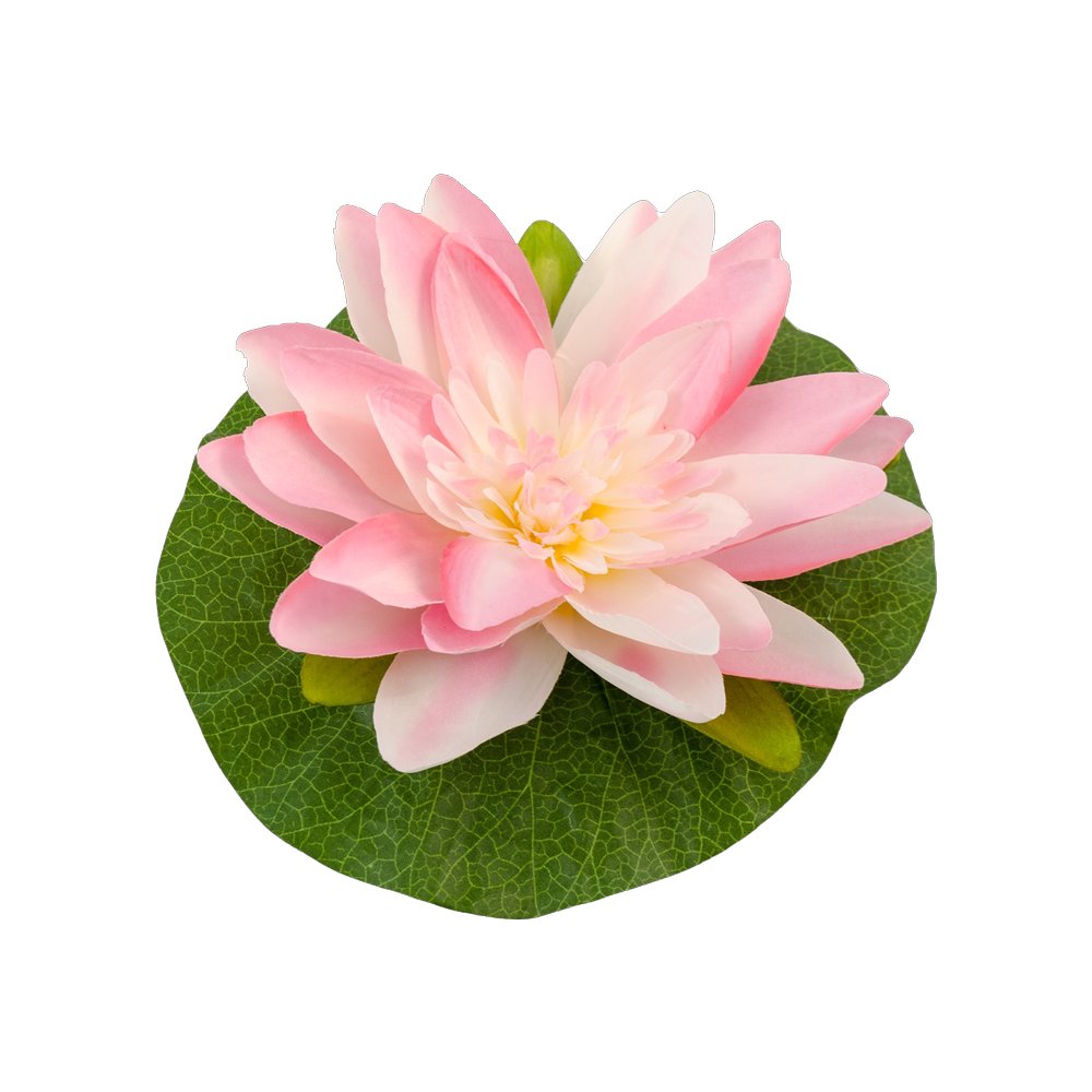 Seerose Lotus auf Blatt grün-rosa 22 cm