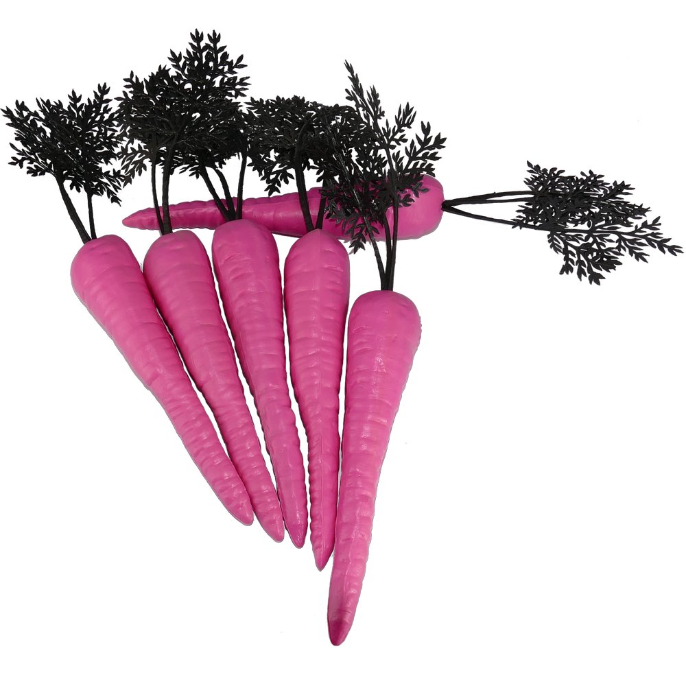 Karotten Color Hot-Pink, 6 Stück, 30 cm