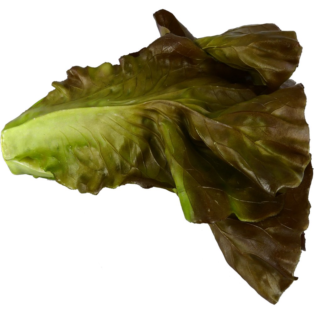 Eichblatt Salat natural rot-grün, Ø 20 x 15 cm