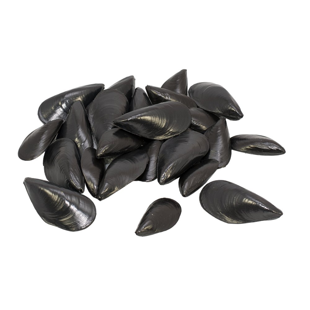 Muscheln 24 Stück Kunststoff schwarz, 7-9 cm