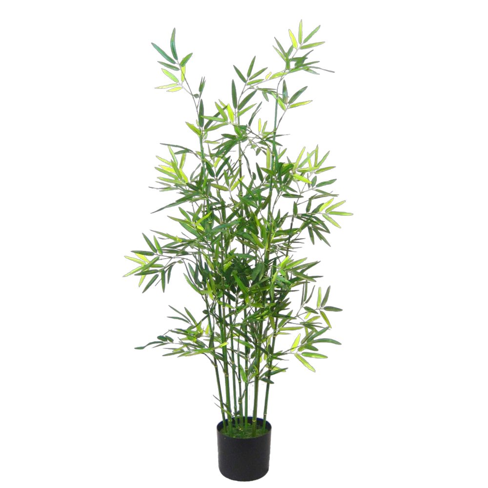 Bambus im Topf grün, 120 cm