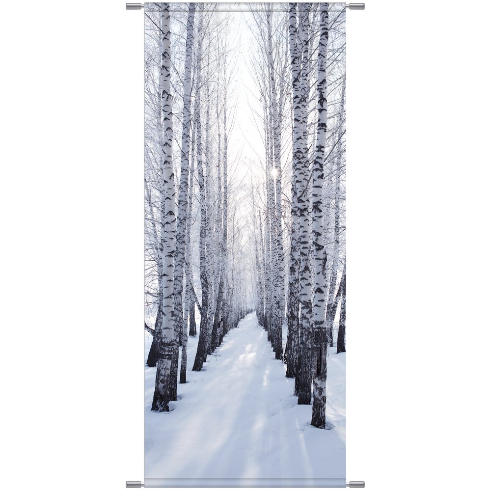 Banner Winter-Birkenwald, 75 x 180 cm