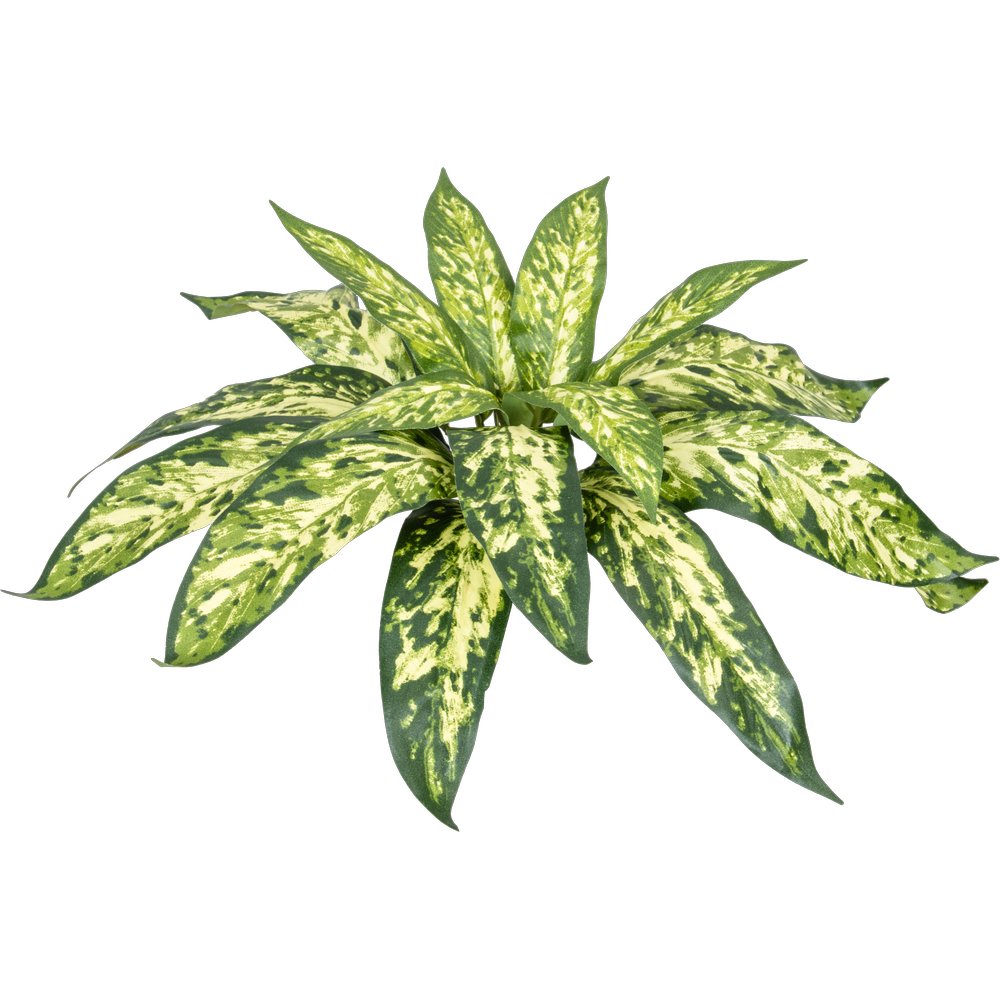 Busch Aglaonema B1 grün H 37 cm
