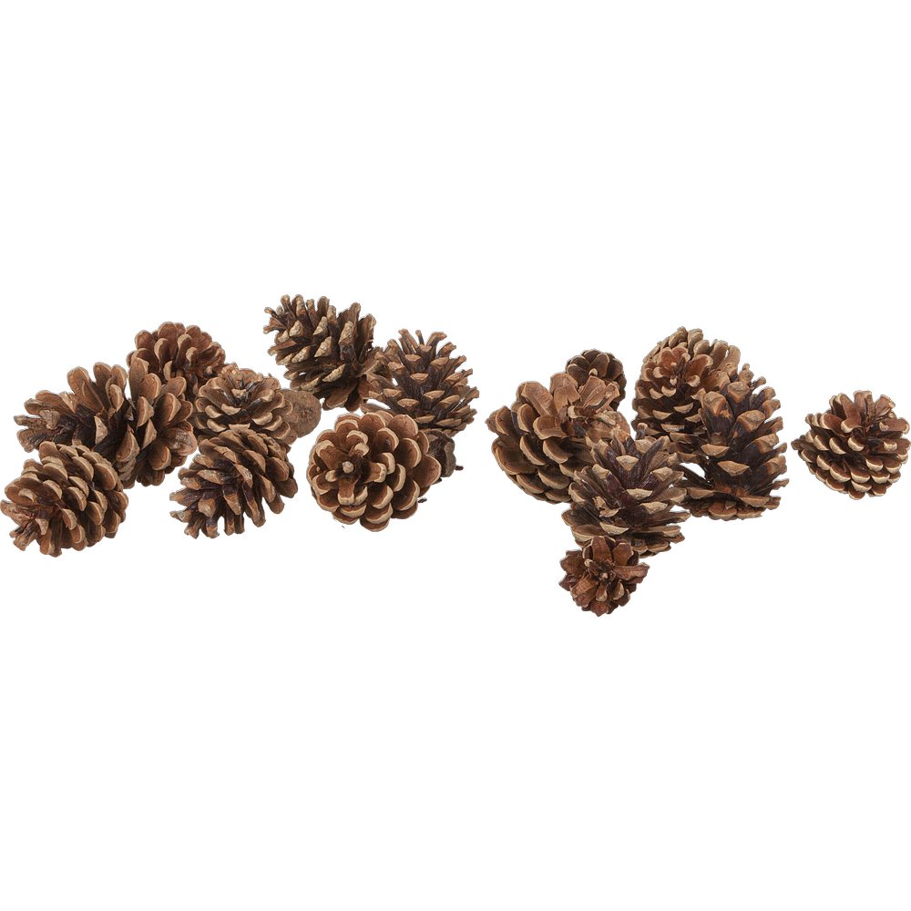 Tannenzapfen natur im Beutel braun,15 Stück 4-13 cm