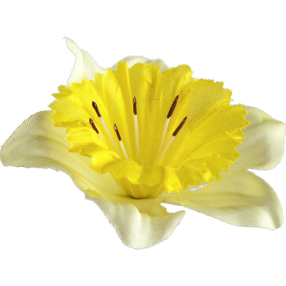 Osterglockenblüten 20 Stück gelb, Ø 6/9 cm