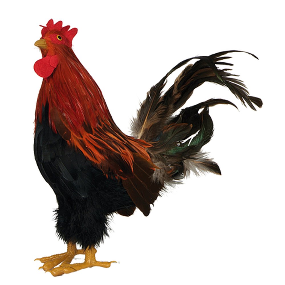 Hahn Tierattrappe groß stehend bunt, 35 cm