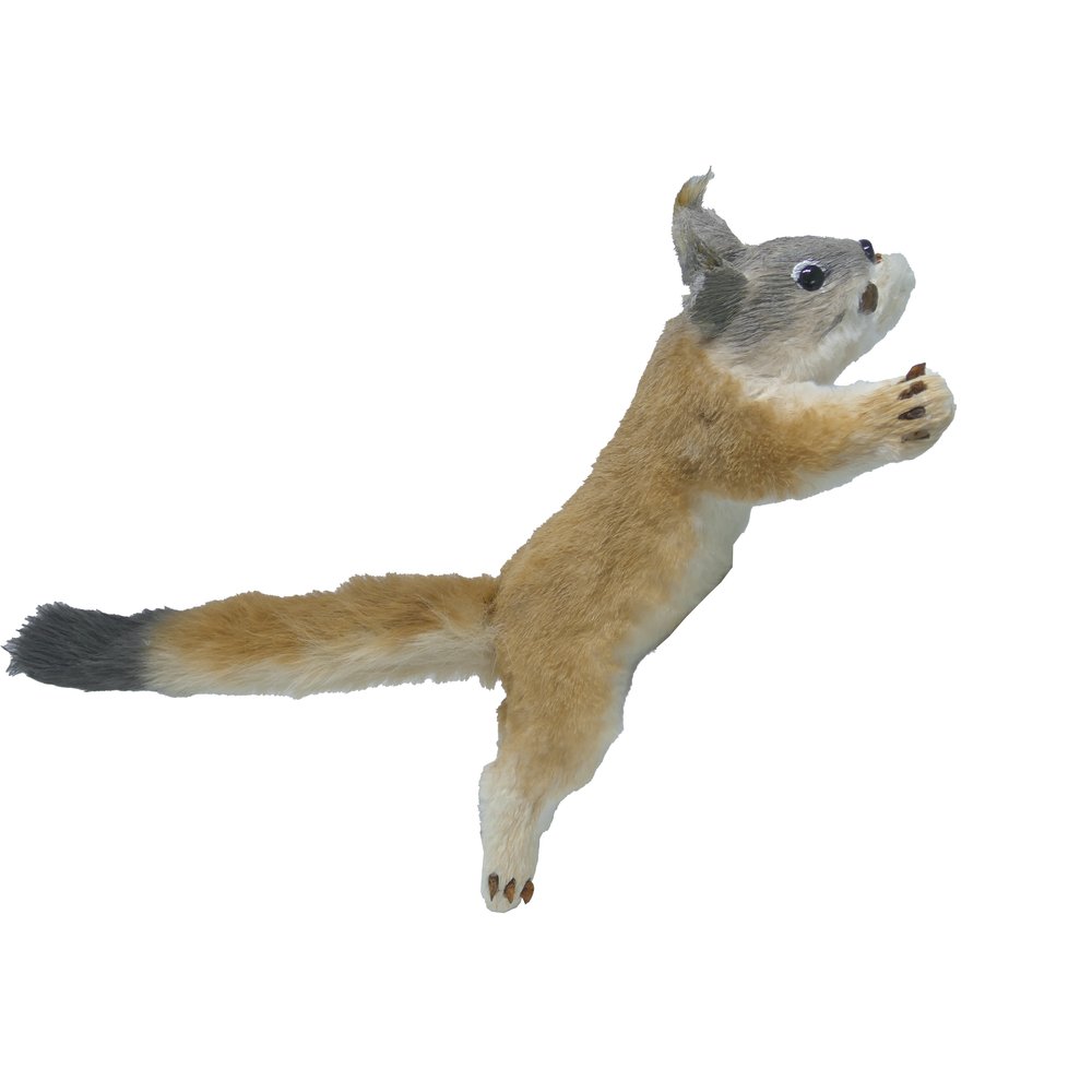 Eichhörnchen Skip kletternd natur,L50x15x12 cm