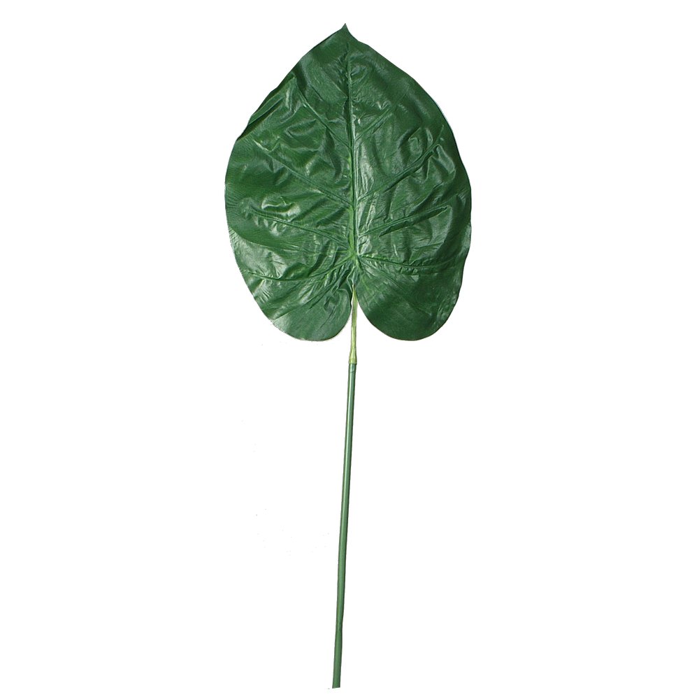 Caladiumblatt, 90 cm