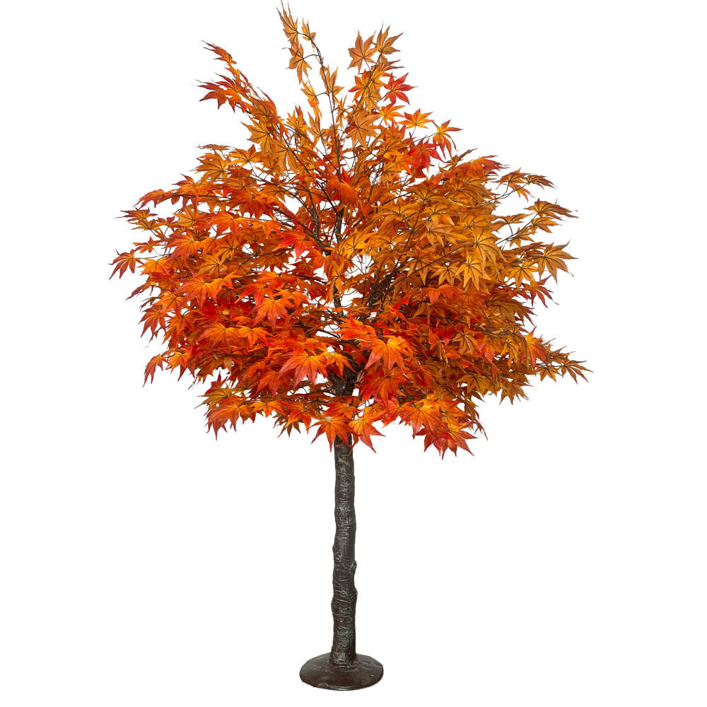 Ahornbaum XL herbstbunt, 180 cm