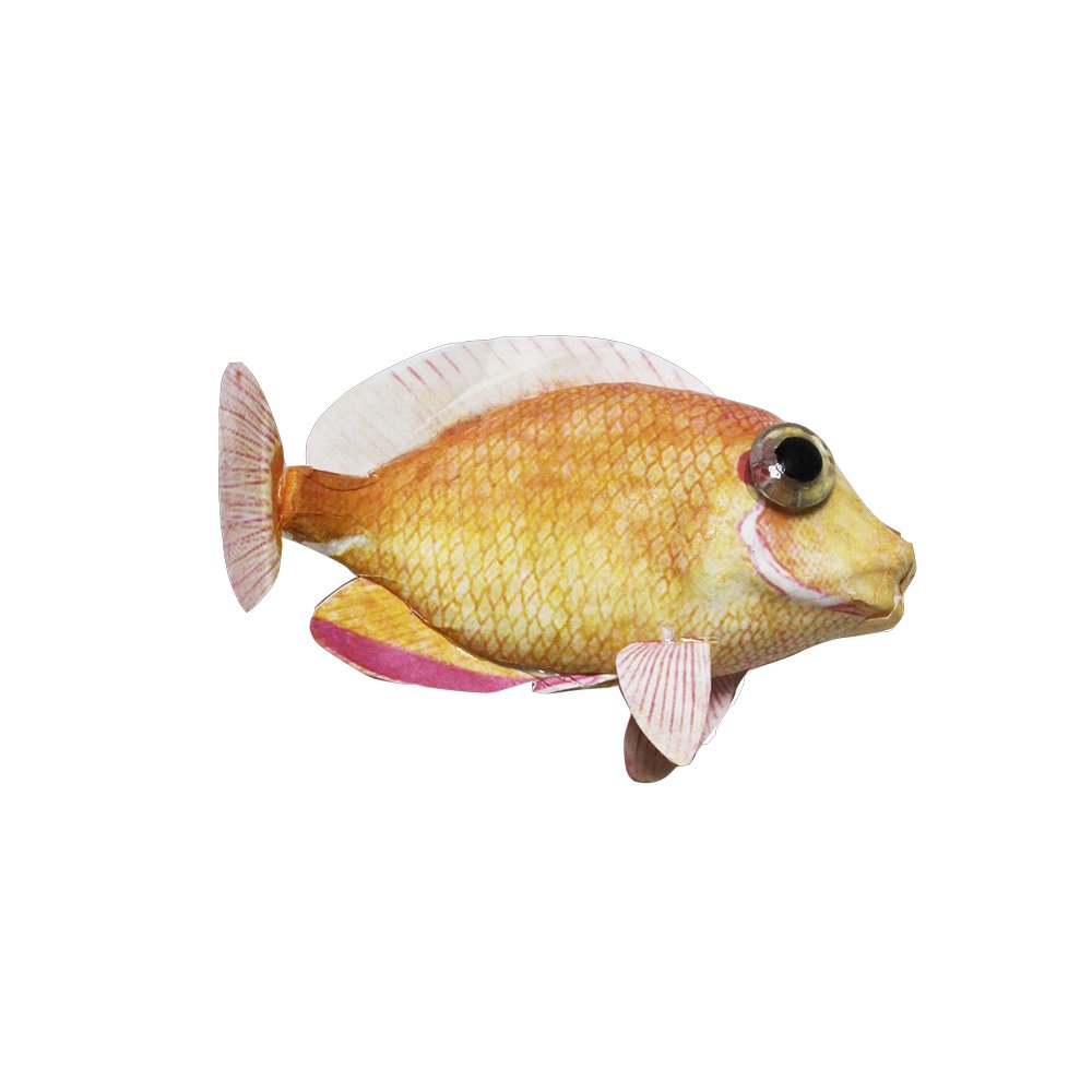 Fisch Tropic lachsrot, 16 x 10 cm