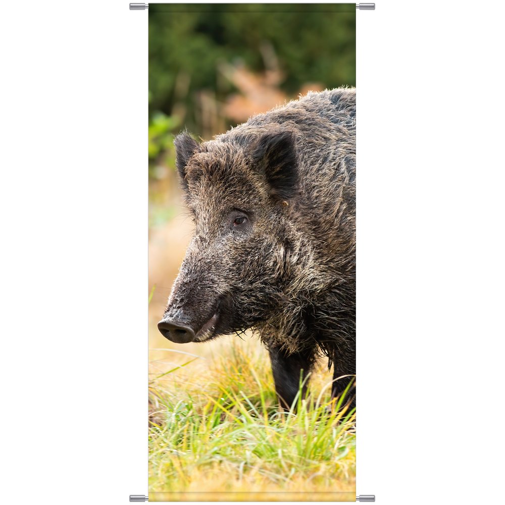 Banner Wildschwein natur, 75 x 180 cm