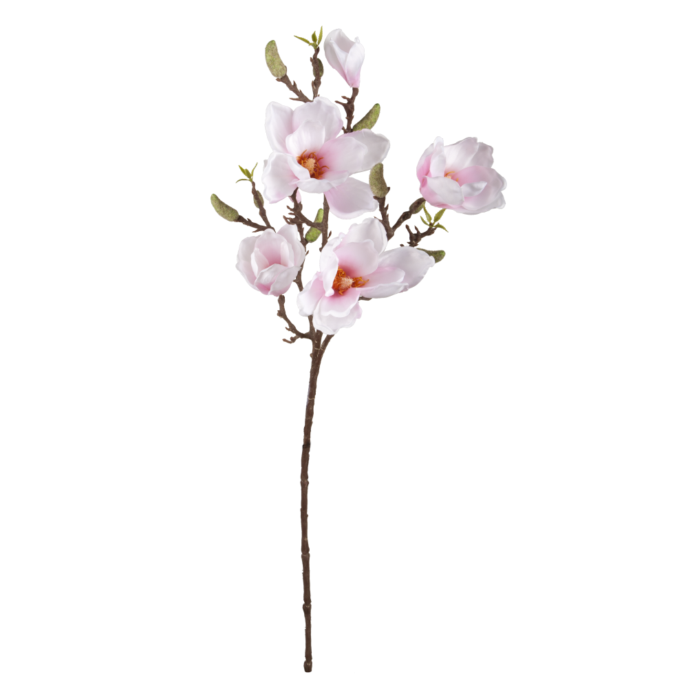 Magnolienzweig Queens weiß/pink, 81 cm