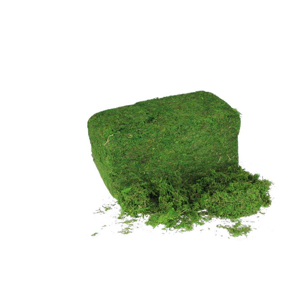 Moos getrocknet im 1 kg Beutel