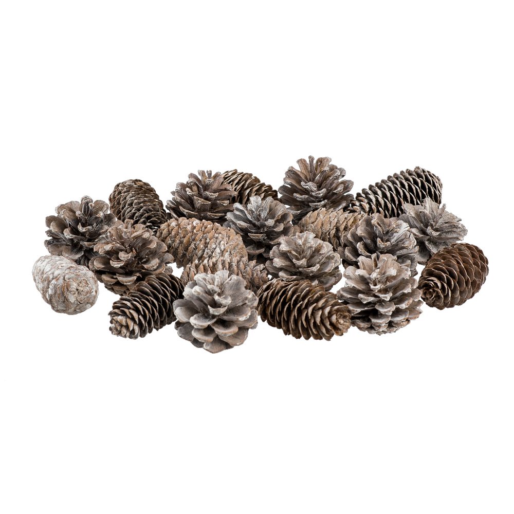 Tannenzapfen Mix im Beutel, natur-weiß, 20 Stück, 5-7 cm