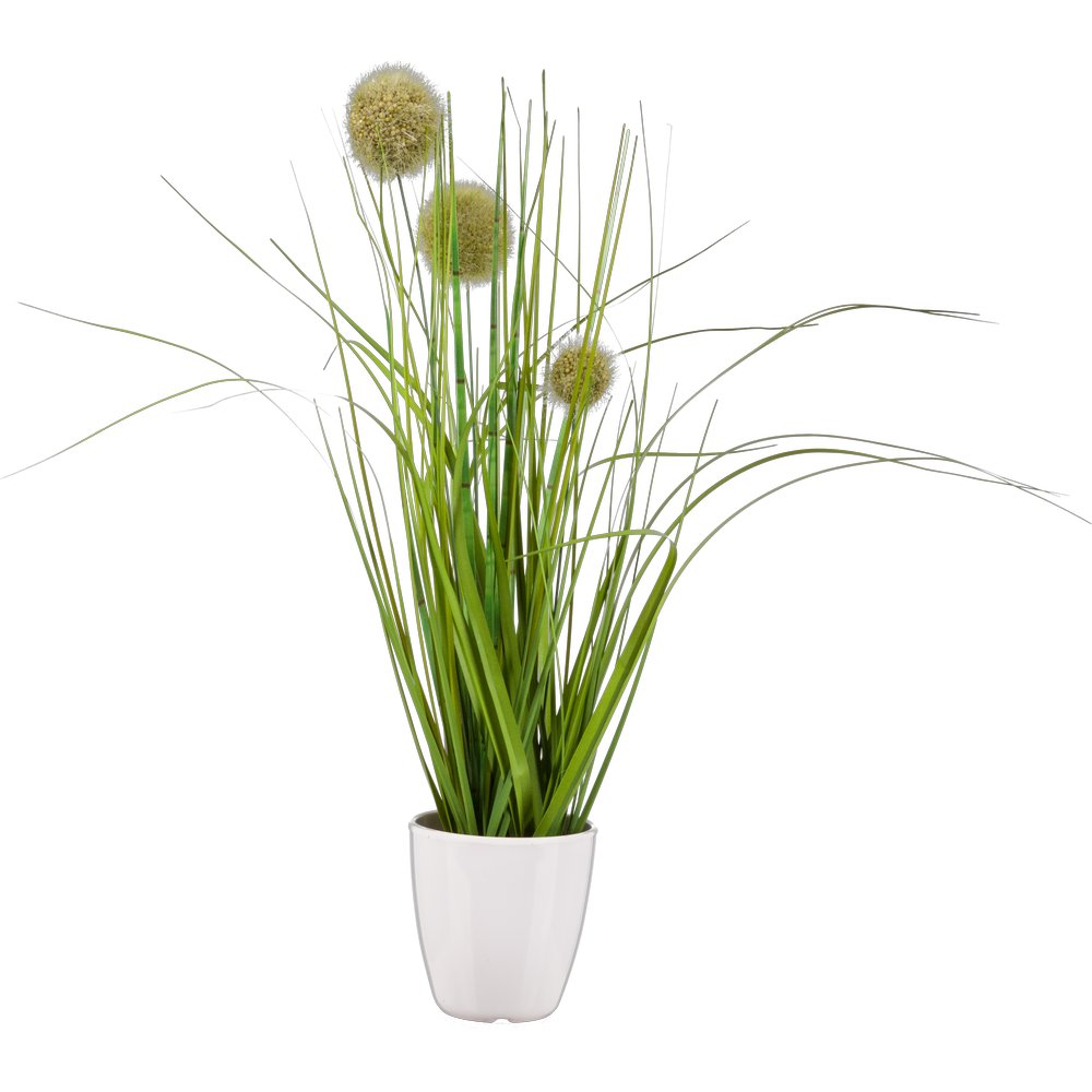 Grasbuschsortiment getopft, 36 cm