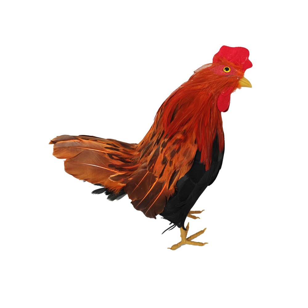 Huhn Natural bunt,H 28 cm