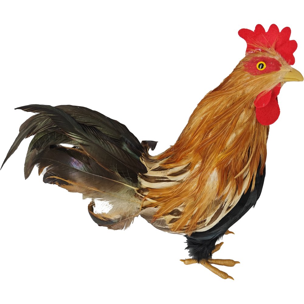 Hahn Natural natur/bunt,H 36 cm