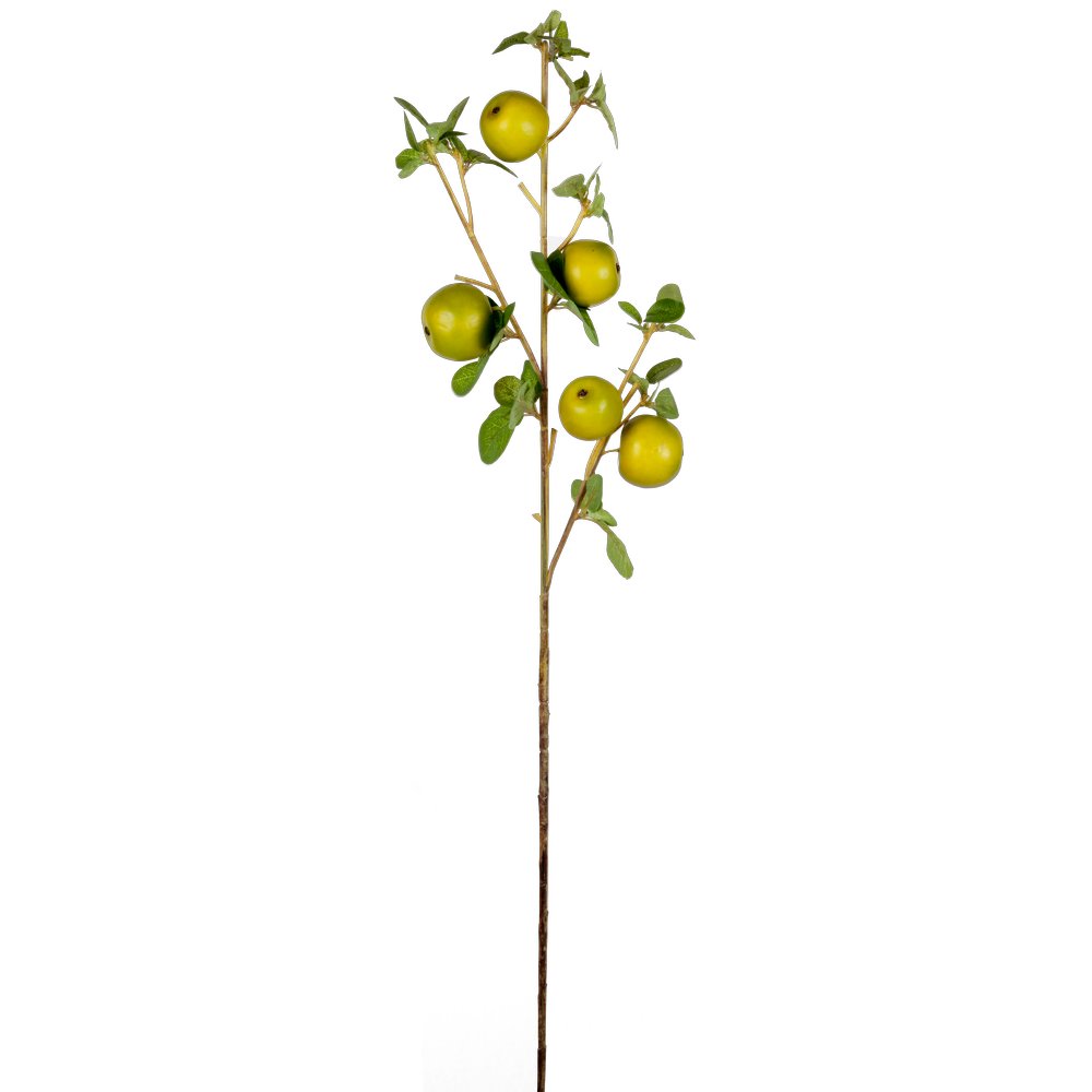 Apfelzweig natural grün, 20 x 94 cm