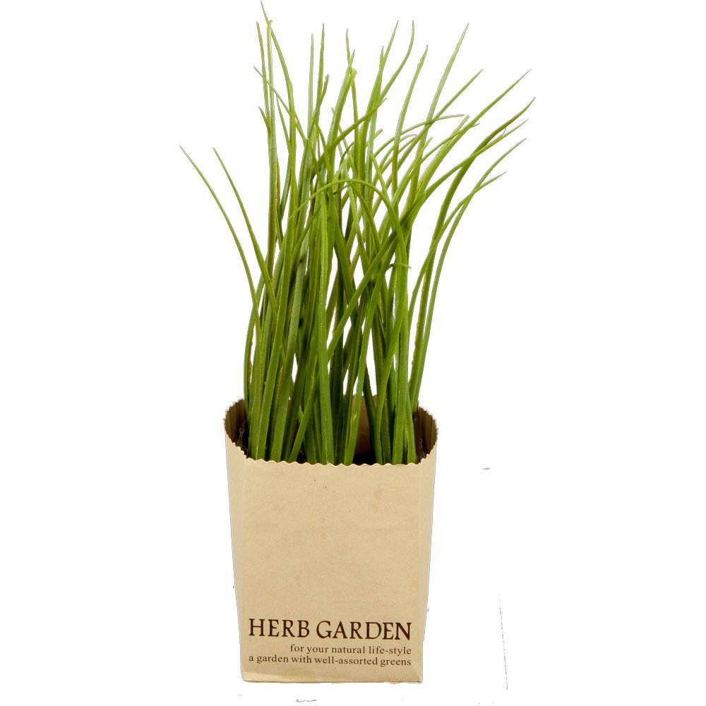 Schnittlauch in Paperbag, 24 cm